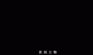 古偶导演，成败皆因“审美”？