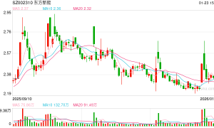 押注新能源赛道 东方园林拟更名“东方新能”