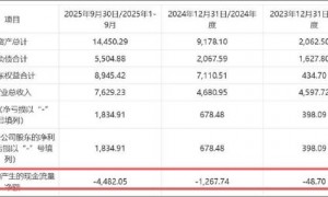 美克家居现资金链危局？控股股东质押“爆表”股份遭冻结 跨界算力能否自救