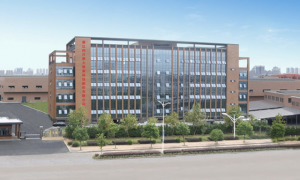 涉嫌误导性陈述 向日葵被浙江证监局立案