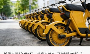 从便民神器到吞金兽，比打车还贵的共享电单车为啥还不赚钱？