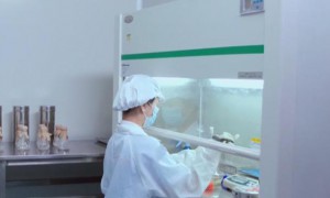 细胞治疗告别“灰色地带”，产业基金密集进场