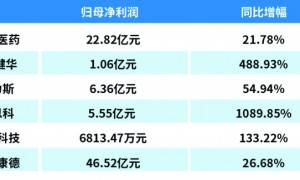 创新药持续创收  医药公司首季成绩单喜人