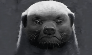 马云钦定的“平头哥”赶上市潮，真武芯片打前锋