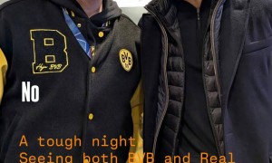 遭暴击！樊振东与波尔观战多特 大黄蜂与皇马双双失利