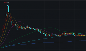 华立股份再次跨界并购 股价抢跑遭质疑 超低交易对价合理性待解