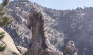 山东一块巨石神似千里马走红，成马年热门打卡点，最新提醒