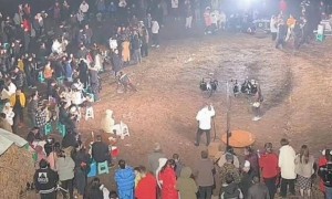 重庆一女子不会杀猪网上求助，上千网友驱车来帮忙，村干部：宰了5头猪吃流水席