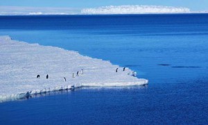 原创 
            世界上最大的无主领土，面积比中国还大，日本已经开始谋略布局