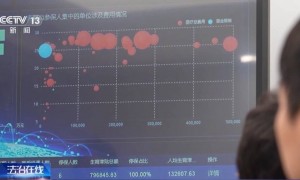 法治在线丨一公司15名员工13人生育 起底全链条造假骗取生育津贴大案
