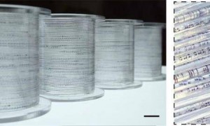 中国科学家全球首创“纤维芯片”，对现有芯片有何影响