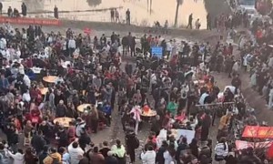 多地紧急叫停“刨猪宴”背后