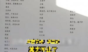 李亚鹏曝光捐赠名单，向太发声：我捐了几百万，王菲默默支持了几千万，也是不够的