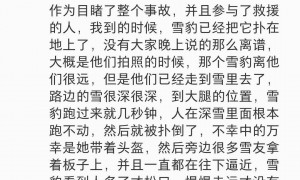 雪豹伤人事件续：伤者已从急诊转至其他科室 村支书称雪豹不常见，或因雪大缺食才下山