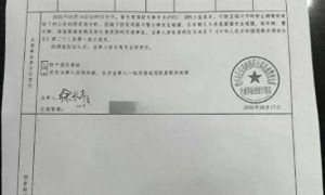 演员金晨被曝疑似肇事逃逸并指使助理顶包，法律如何界定？多方律师回应